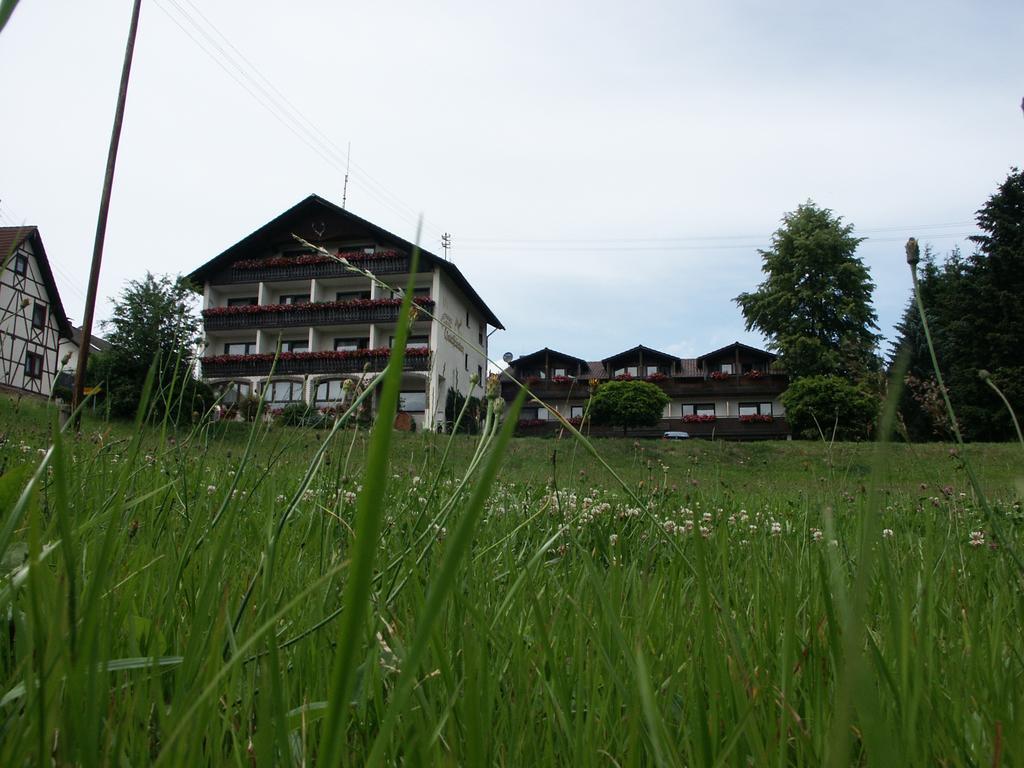 Hôtel Landgasthof Waldfrieden à Wildensee Extérieur photo
